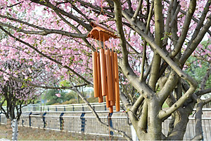 Chuông gió tre trúc phonng thủy may mắn trang trí nhà cửa