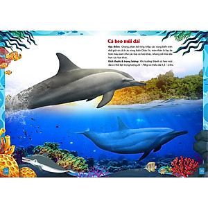 Sách - Khám Phá Động Vật 5 Châu - Châu Đại Dương