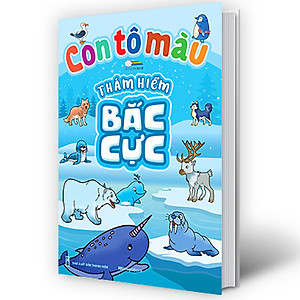 Combo Con Tô Màu Thám Hiểm (4 cuốn)