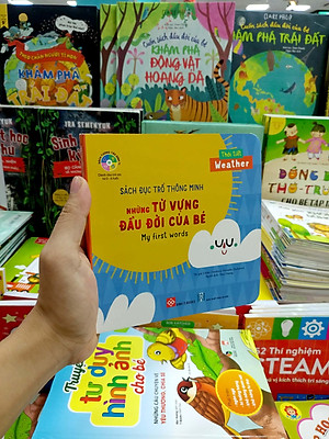 Sách Đục Trổ Thông Minh - Những Từ Vựng Đầu Đời Của Bé - My First Words- Thời Tiết - Weather