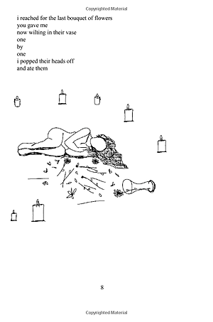 Sách The Sun And Her Flowers