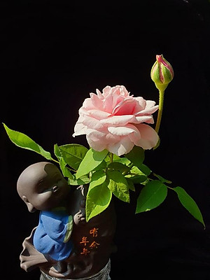 Tượng chú tiểu cưỡi cá chép - trồng cây, cắm hoa để bàn