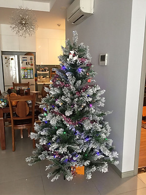 Cây thông noel phủ tuyết - Tán dày và đẹp, cây thông chắc chắn và dể tháo lắp