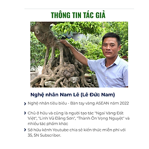 Sách Bonsai Làm chủ tư duy Định hình tác phẩm 