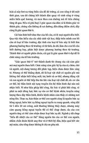 Những Khả Năng Kỳ Diệu Của Con Người