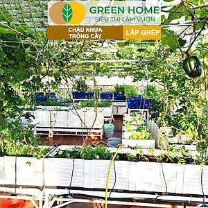 Chậu Trồng Cây Greenhome, Nhựa Nguyên Sinh Lắp Ghép, Nhiều Kích Thước, Trồng Hoa Hồng, Rau, Củ, Quả, Độ Bền 5 Năm