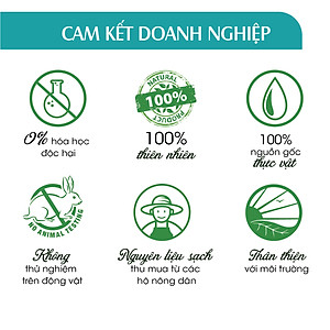 Xịt Phòng Tinh Dầu Bạc Hà Hữu Cơ Organic 24Care 50ML/100ML - Kháng khuẩn - Khử mùi hôi - Đuổi muỗi, côn trùng - Tập trung tinh thần làm việc, lái xe, học hành - Hương thơm thư giãn.