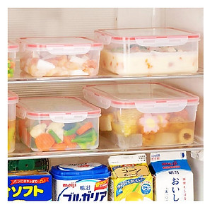 Combo 4 hộp nhựa trong đựng thực phẩm Inomata - Hàng nội địa Nhật Bản