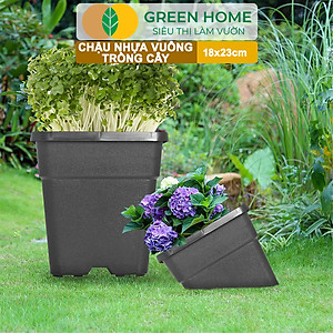 5 Chậu Vuông Trồng Cây Greenhome, Nhiều Kích Thước, Nhựa Cứng, Thoát Nước Tốt, Trồng Hoa, Kiểng Lá