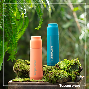 Bình giữ nhiệt Tupp Buddy 520ml TUPPERWARE CHÍNH HÃNG