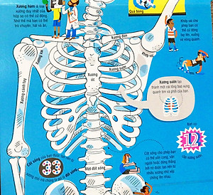 Sách Tương Tác - Big Book - Cuốn Sách Khổng Lồ Về Cơ Thể Người (Tái Bản)