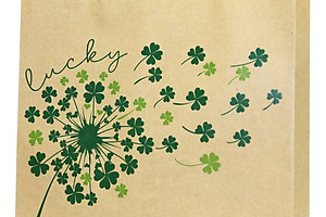 Túi Giấy Kraft - 22 x 25 x 8 cm - The Sun 02