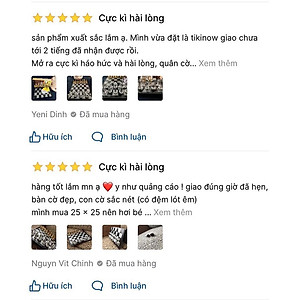 Cờ vua nam châm cao cấp - 25x25cm - Chính hãng dododios