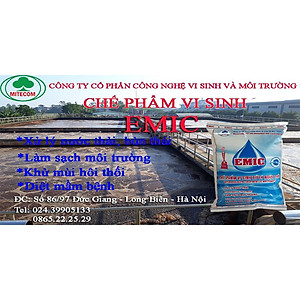 Men vi sinh xử lý nước thải EMIC 1kg