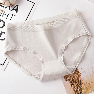 Combo 4 Quần lót nữ Cotton thời trang  QL 8135