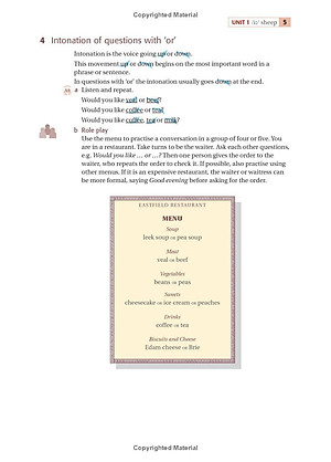 Sách Ship or Sheep? Book and Audio CD Pack: An Intermediate Pronunciation Course