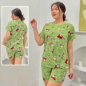 Đồ bộ mặc nhà quần đùi DN2 - Đồ bộ cotton quần đùi mặc nhà - Bộ đồ nữ mặc nhà