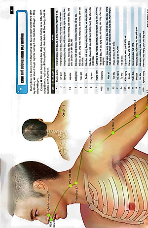 Sách Đồ giải Kinh Lạc Huyệt Vị Nam giới