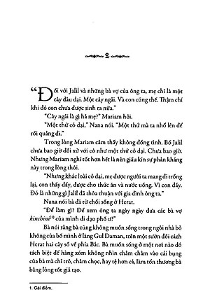 Sách Ngàn Mặt Trời Rực Rỡ (Tái Bản)