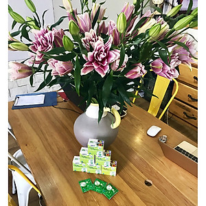 Bột Cắm Hoa Lily Tươi Lâu, Hiệu Longlife nhập khẩu Isarel (Bộ 30 gói)