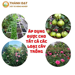 [Quà Tặng] Kích thích ra rễ cực mạnh ROOTKING lọ 20ml, dùng giâm chiết cành, kích rễ, hàng công ty