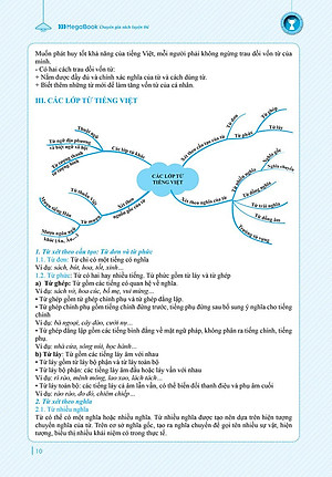 Combo 2 Cuốn: Chinh Phục Toàn Diện Môn Văn Kỳ Thi Vào 10