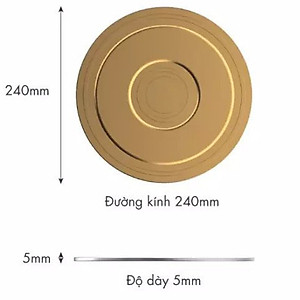 Đĩa Chuyển Nhiệt bếp từ Visions VS-IND-24LP/GD Hàng Pháp