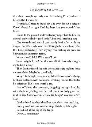 Sách The Travelling Cat Chronicles