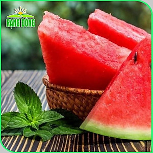 Hạt giống Dưa Hấu Rado 331 (10 hạt) trái to, dài, ruột đỏ, ngọt, kháng sâu bệnh, trồng quanh năm - Hạt giống Rạng Đông