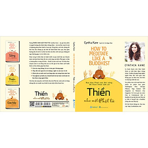 Sách Thiền Như Một Phật Tử