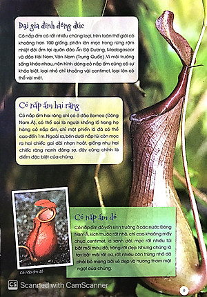 Sách Thực Vật Thần Kỳ