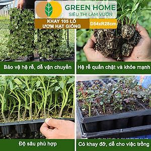 Khay Ươm Hạt Giống Greenhome, 105 Lỗ, Thoáng Rễ, Nảy Mầm Cao, Tiết Kiệm Diện Tích Ươm, Độ Bền Cao