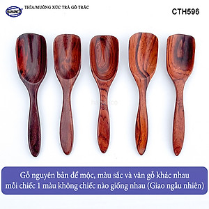 Muỗng Thìa Xúc Trà Gỗ Trắc Cao Cấp Dụng Cụ Trang Trí - CTH596