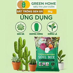 Đất Trồng Sen Đá Greenhome, Soil Mix, Bao 6kg, Trộn Sẵn, 85% Đá Khoáng, Phát Rễ Nhanh, Lên Màu Nhanh, Thoát Nước Tốt