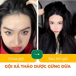 Bộ dầu gội thảo dược gừng dừa Cocayhoala hỗ trợ trị gàu, giảm nấm ngứa, dung tích 440g/chai- 95% thành phần từ gừng tươi hữu cơ còn nguyên xơ gừng, hỗ trợ trị rụng tóc, kích thích mọc tóc vượt trội