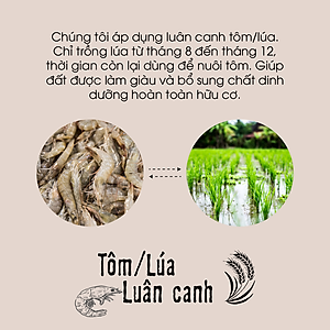 Gạo lứt đen hữu cơ cao cấp/ECOBA Huyền Mễ 1kg - Thơm ngon dẻo ngọt - Thanh lọc cơ thể