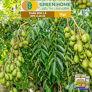 Phân Bón Npk 5-45-10, Greenhome, Đầu Trâu, Gói 10Gr, Phân Bón Kích Ra Hoa, Đậu Trái