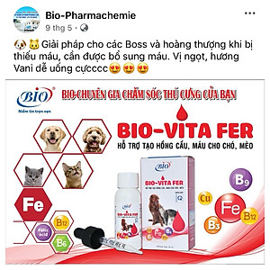 Siro Bio Vita Fer tạo máu, bổ sung vitamin và khoáng chất cho chó mèo