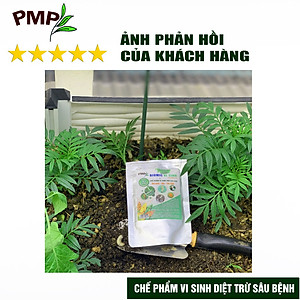 Combo Green Neem Hữu Cơ, Chế Phẩm Vi Sinh Biomic & Giấm Gỗ Sinh Học APY PMP Bảo Vệ Toàn Diện Hoa Hồng, Rau, Cây Cảnh