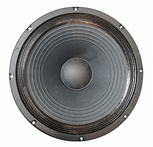 LOA RỜI PAUDIO 4 TẤC E15-300S P.Audio (1 cặp) – Hàng Chính Hãng