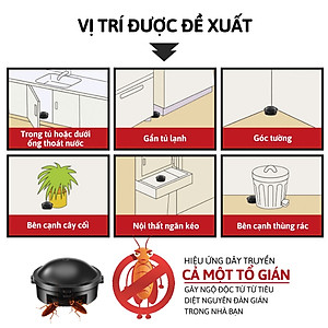 Thuốc Diệt Gián Nhật Bản, Hộp 12 Viên, Diệt Gián Tận Gốc, An Toàn, Hiệu Quả, Hàng Nhập Khẩu