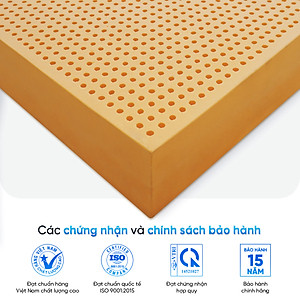 Nệm Cao Su Thiên Nhiên Latex Thuần Việt - Nâng Đỡ 7 Vùng, Thoáng Khí - Bảo Hành 15 Năm