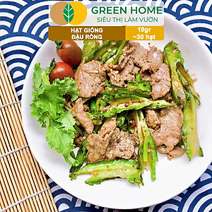 Hạt Giống Đậu Rồng Greenhome, Gói 10gr~30 hạt, Dễ Trồng Quanh Năm, Nảy Mầm Cao, Thu Hoạch Nhanh, Năng Suất Cao T08