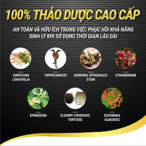 Viên uống phục hồi và tăng cường sức khỏe sinh lý nam giới Powergra Rino - Vỉ dùng thử 1 viên