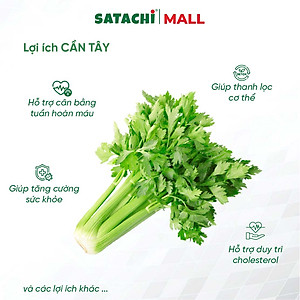 Viên Bột Cần Tây Nguyên Chất SATACHI – 100% Lá Cần Tây – Dạng Viên Tiện Lợi – Hộp 180 viên 
