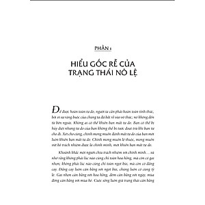 Sách OSHO - Tự Do: Như Chim Tung Cánh