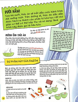 Sách Tìm Hiểu Về: Cơ Thể Người