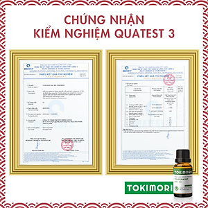 Combo 3 Chai (10ml) Tinh Dầu Cam Ngọt + Vỏ Quế  + Bạc Hà TOKI MORI Xuất Khẩu Nhật Bản 100% Thiên Nhiên, An Toàn Cho Trẻ, Xông Phòng, Khử Mùi, Kháng Khuẩn, Đuổi Muỗi, Giải Cảm