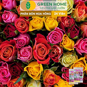 Phân Bón Hoa Hồng Greenhome, Gói 24 Viên, Giúp Cây Đâm Chồi, Thân Mập, Nhiều Nụ, Hoa To, Thắm Màu, Lâu Tàn