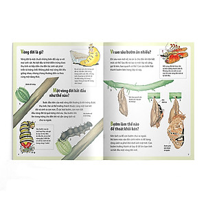 Sách Em muốn biết vì sao sâu bướm ăn nhiều và những câu hỏi khác về sự sống